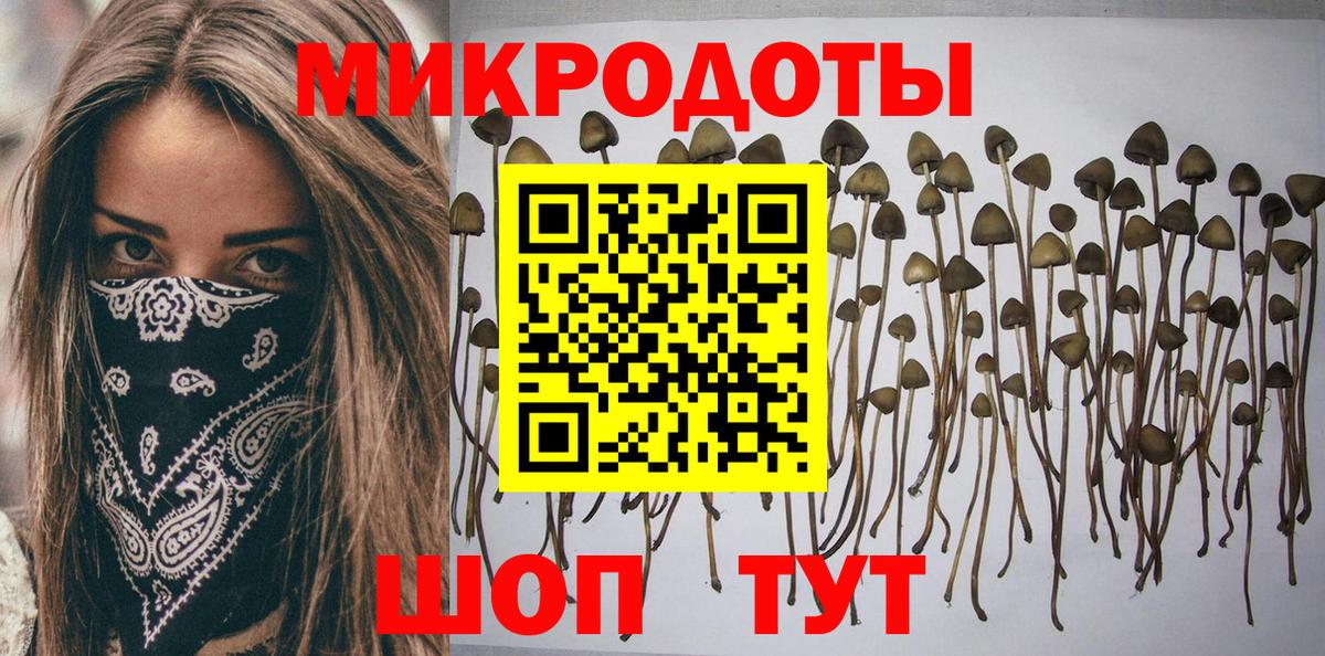 Череповец  Псилоцибиновые грибы Magic Shrooms  Вход с VPN 